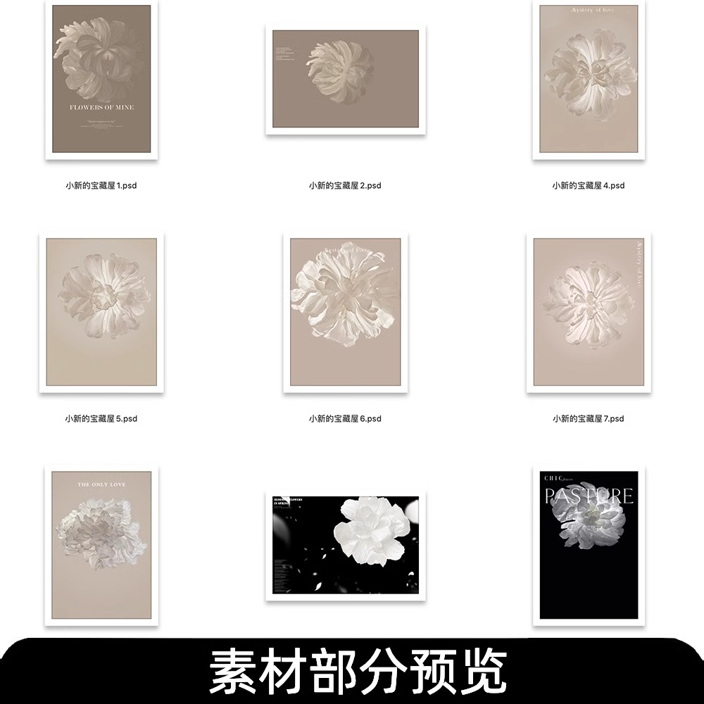 图片[2]-婚纱照背景大花朵山茶花白色纸花薇拉影楼修图后期psd模板素材ps-大怪兽分享