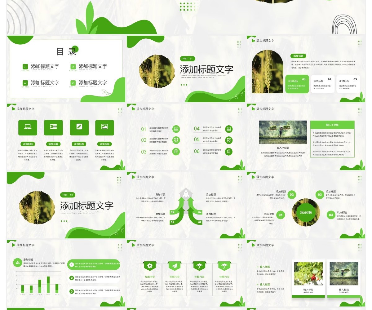 图片[5]-农业ppt模板绿色食品产品推介宣传介绍推广营销策划项目汇报课件-大怪兽分享
