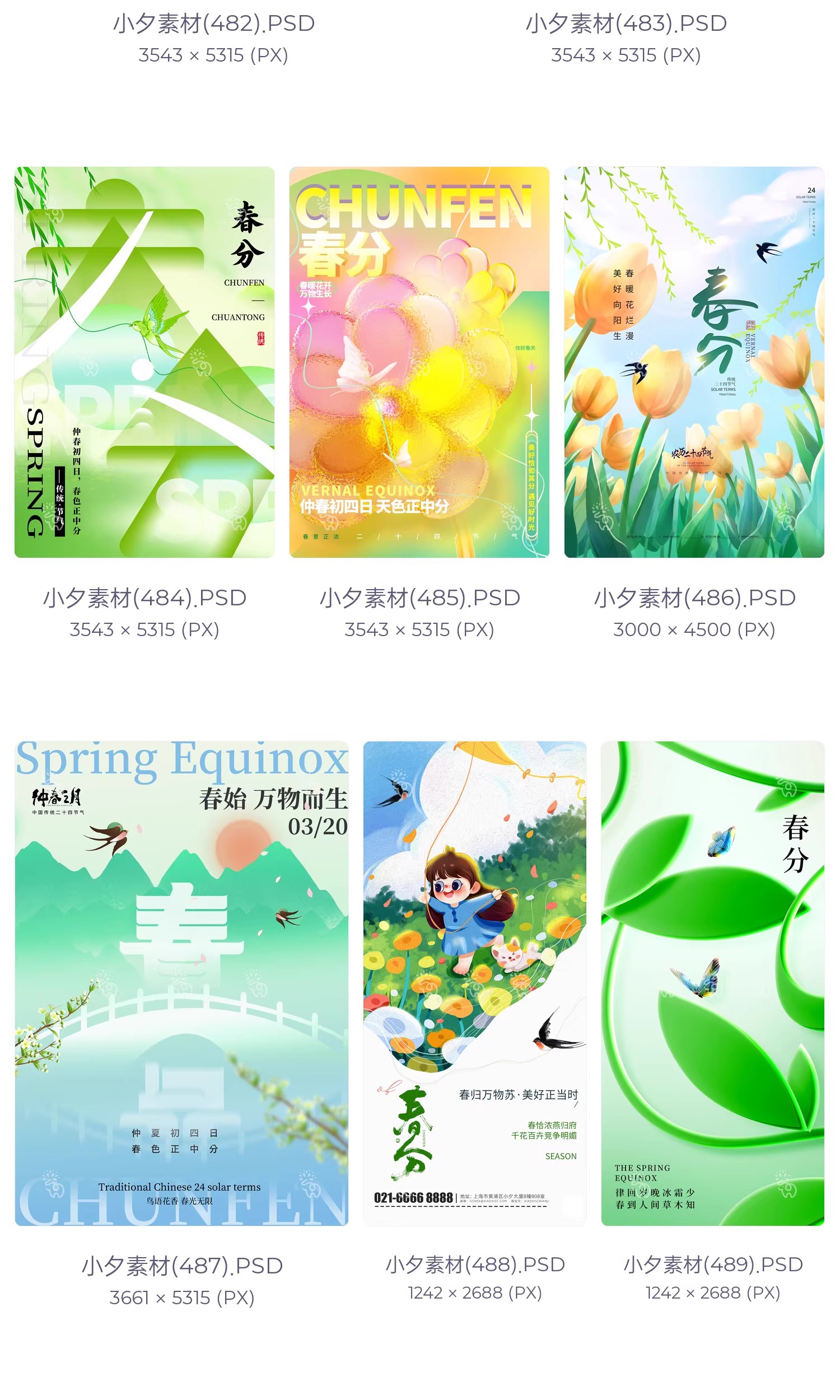 图片[5]-中国风24二十四节气春分传统节日宣传插画海报模板PSD设计素材-大怪兽分享
