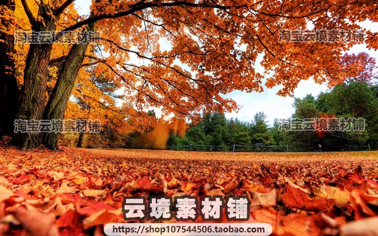 图片[4]-4K8K电脑风景摄影壁纸山水风光高清图片平面设计贴图素材-大怪兽分享