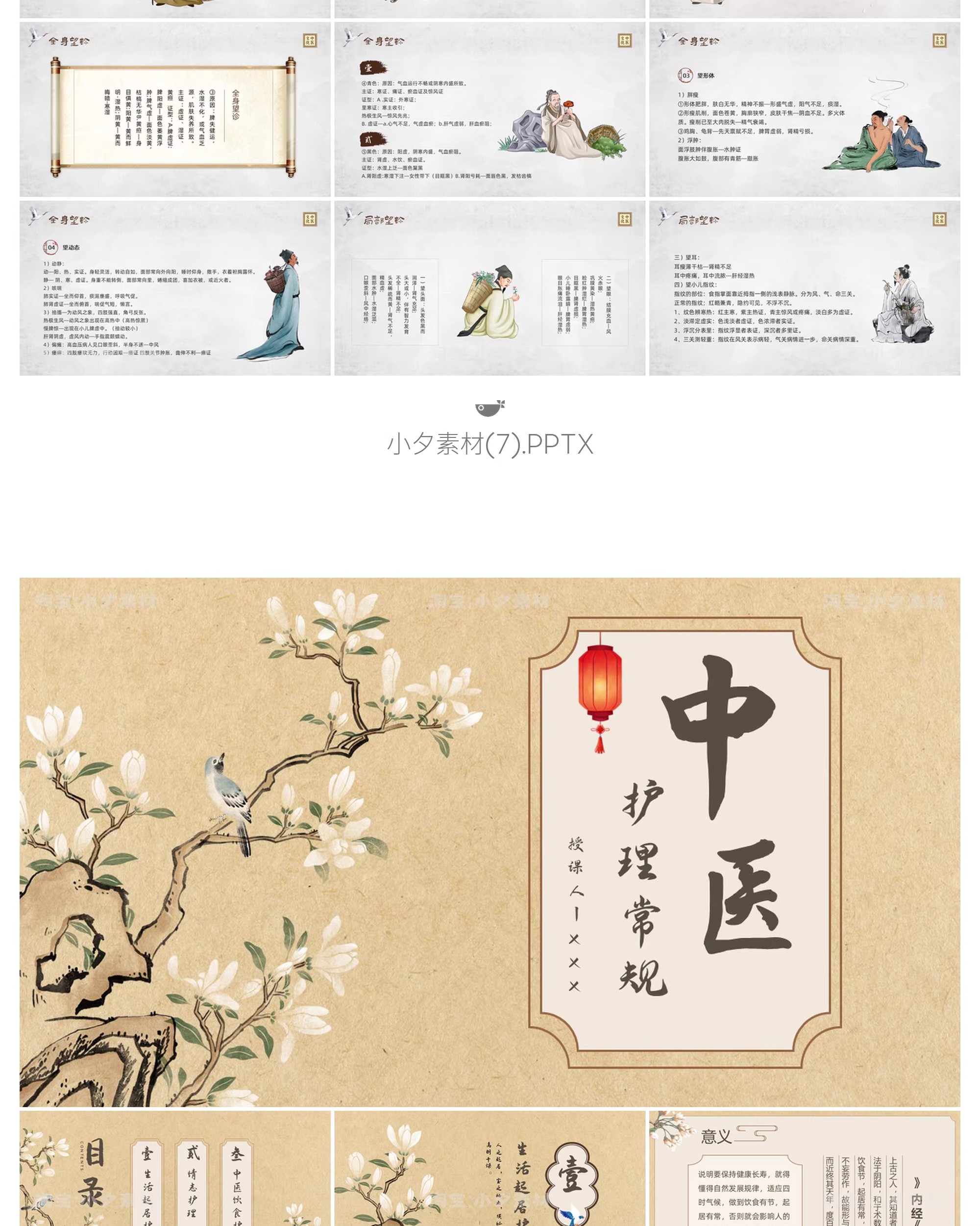 图片[10]-中国传统文化中医药草药养生培训知识文化宣传讲座说课件PPT模板-大怪兽分享