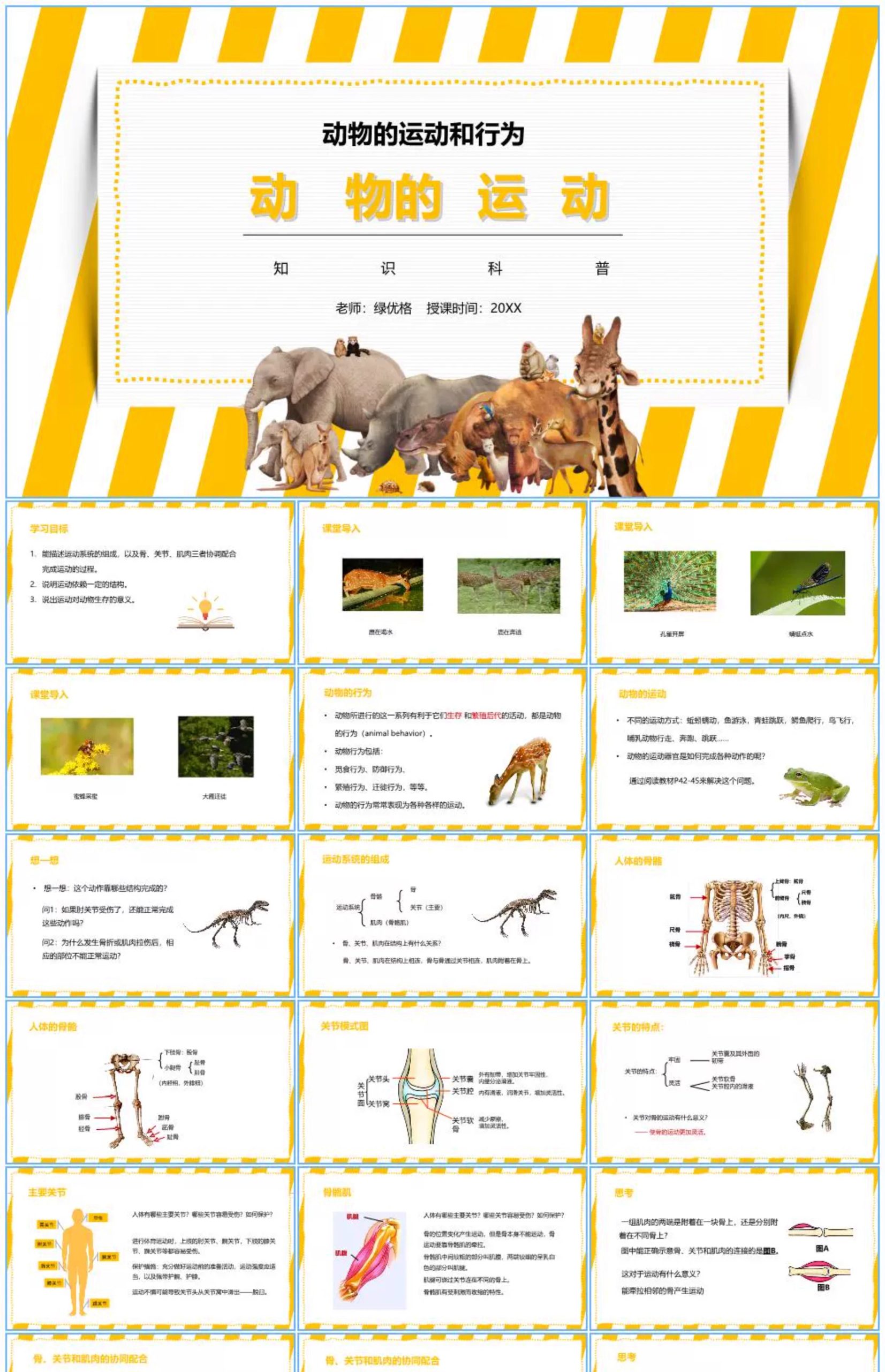 图片[11]-学生科普知识PPT模板课件自然宇宙科学动物生物环保气象介绍素材-大怪兽分享