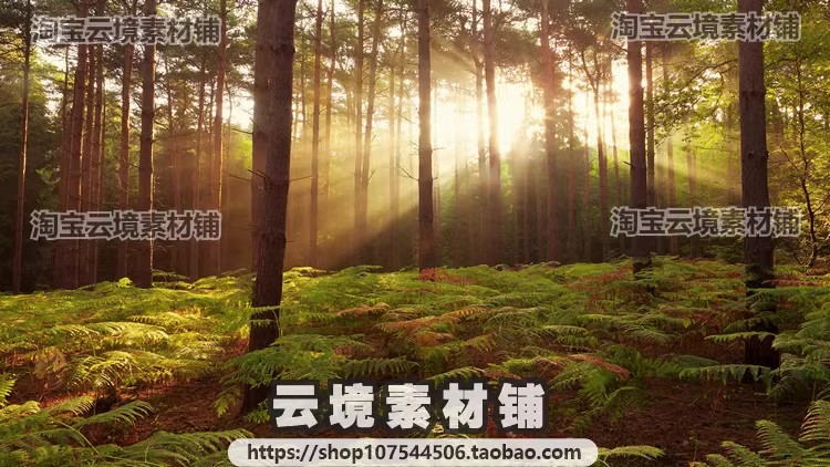 图片[10]-4K8K电脑风景摄影壁纸山水风光高清图片平面设计贴图素材-大怪兽分享