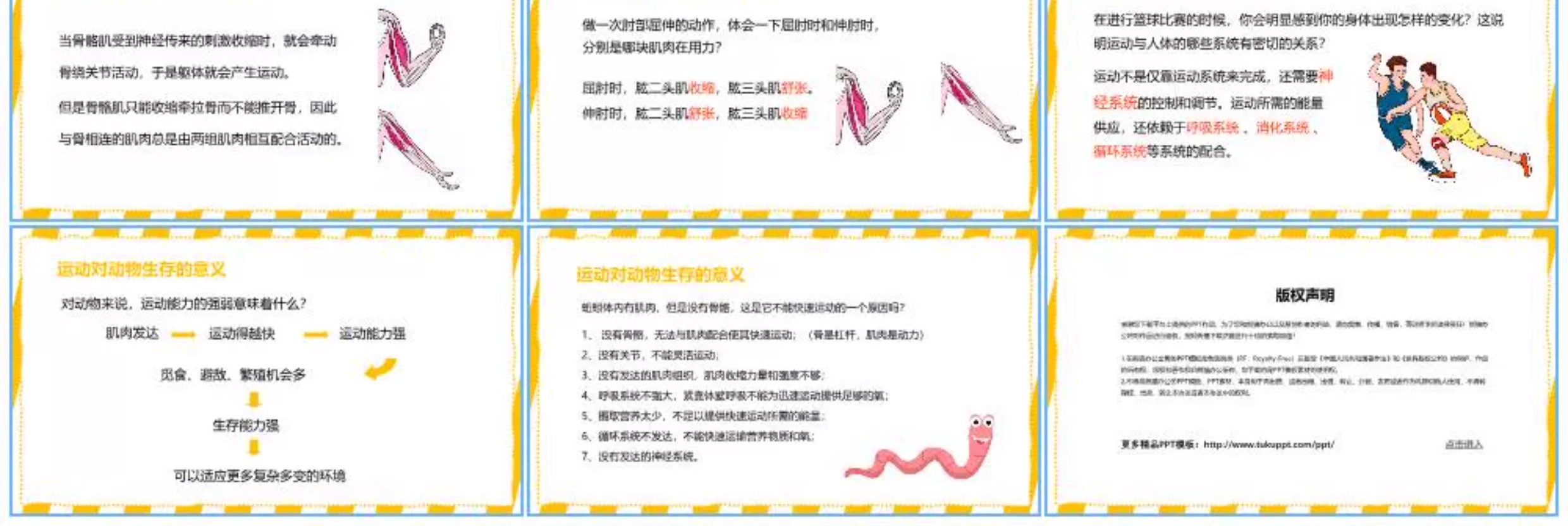 图片[12]-学生科普知识PPT模板课件自然宇宙科学动物生物环保气象介绍素材-大怪兽分享