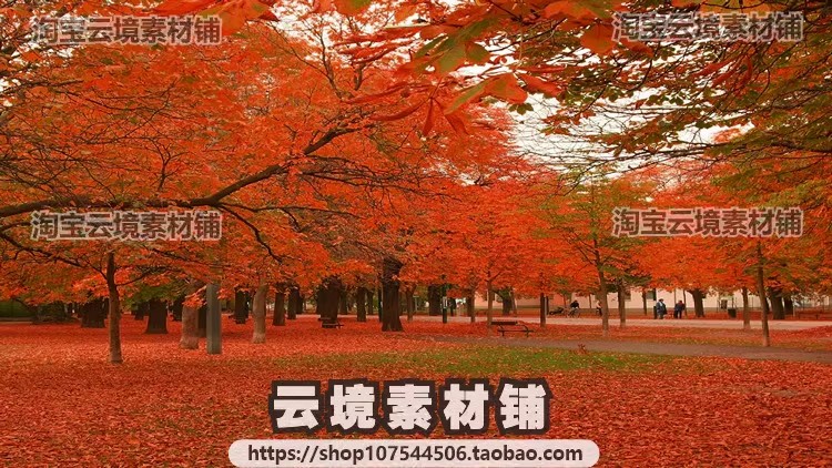 图片[11]-4K8K电脑风景摄影壁纸山水风光高清图片平面设计贴图素材-大怪兽分享