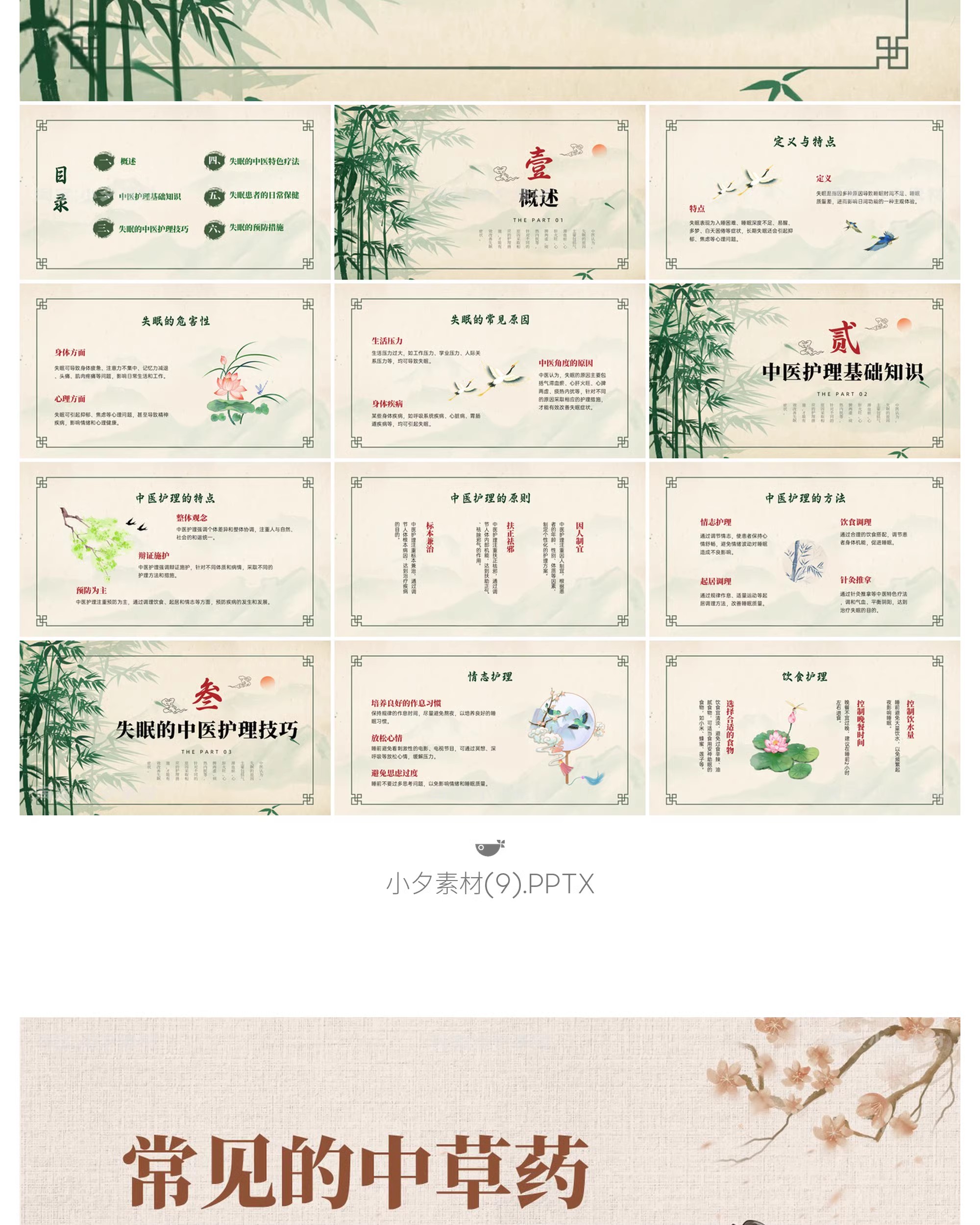 图片[12]-中国传统文化中医药草药养生培训知识文化宣传讲座说课件PPT模板-大怪兽分享