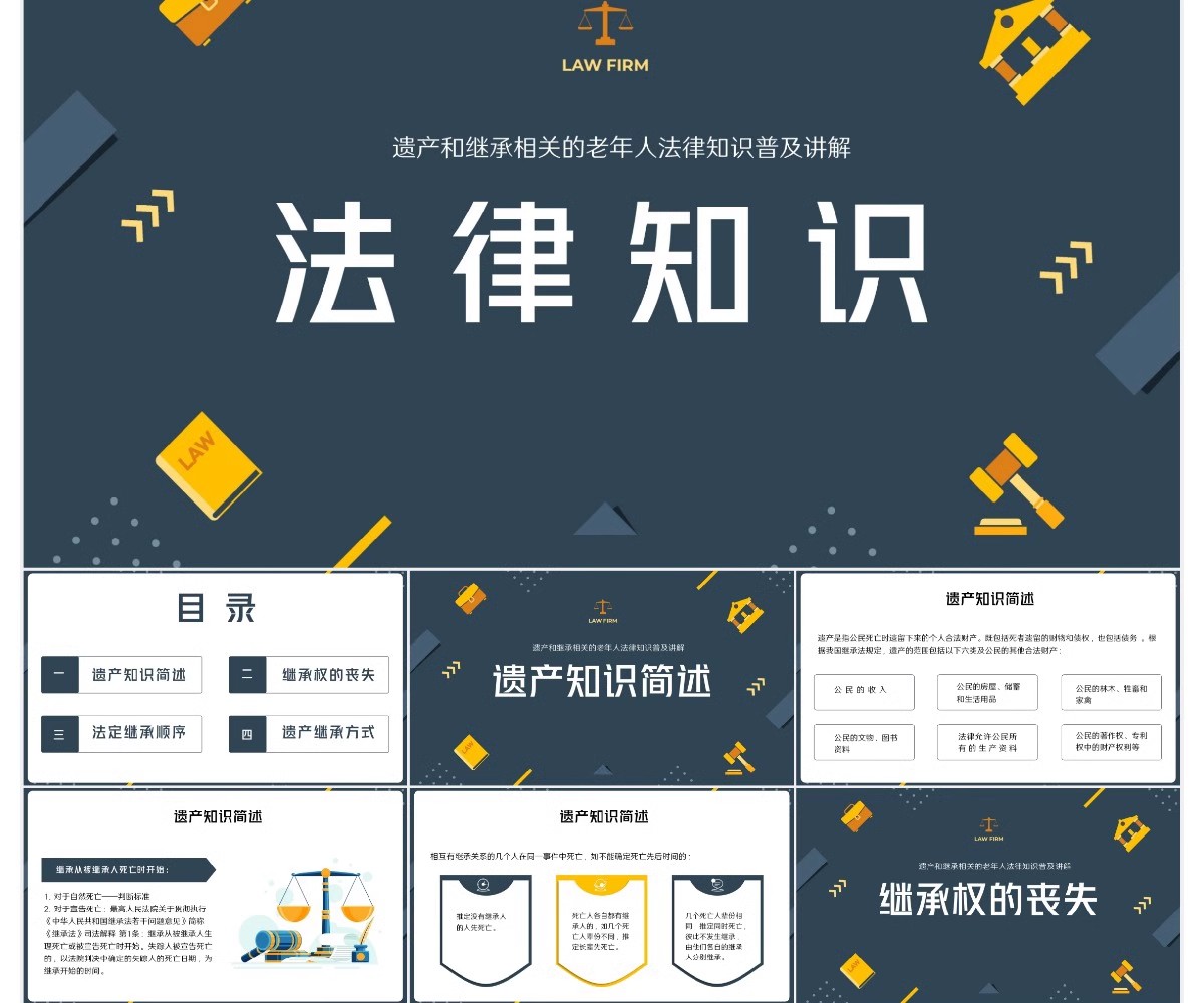 图片[14]-PPT模板 法学专业答辩律师工作汇报法律法规普法宣传讲座通用PPT-大怪兽分享
