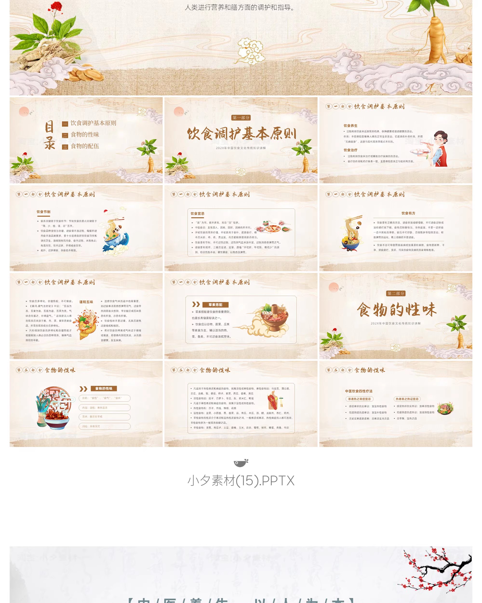 图片[19]-中国传统文化中医药草药养生培训知识文化宣传讲座说课件PPT模板-大怪兽分享