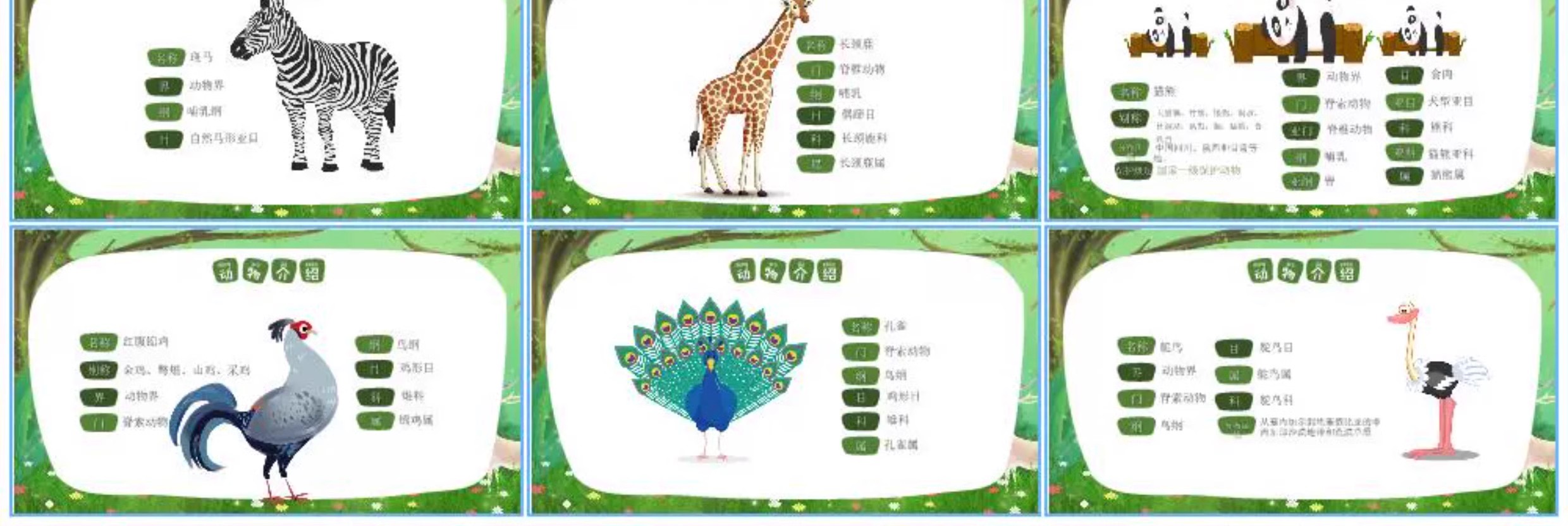 图片[19]-学生科普知识PPT模板课件自然宇宙科学动物生物环保气象介绍素材-大怪兽分享