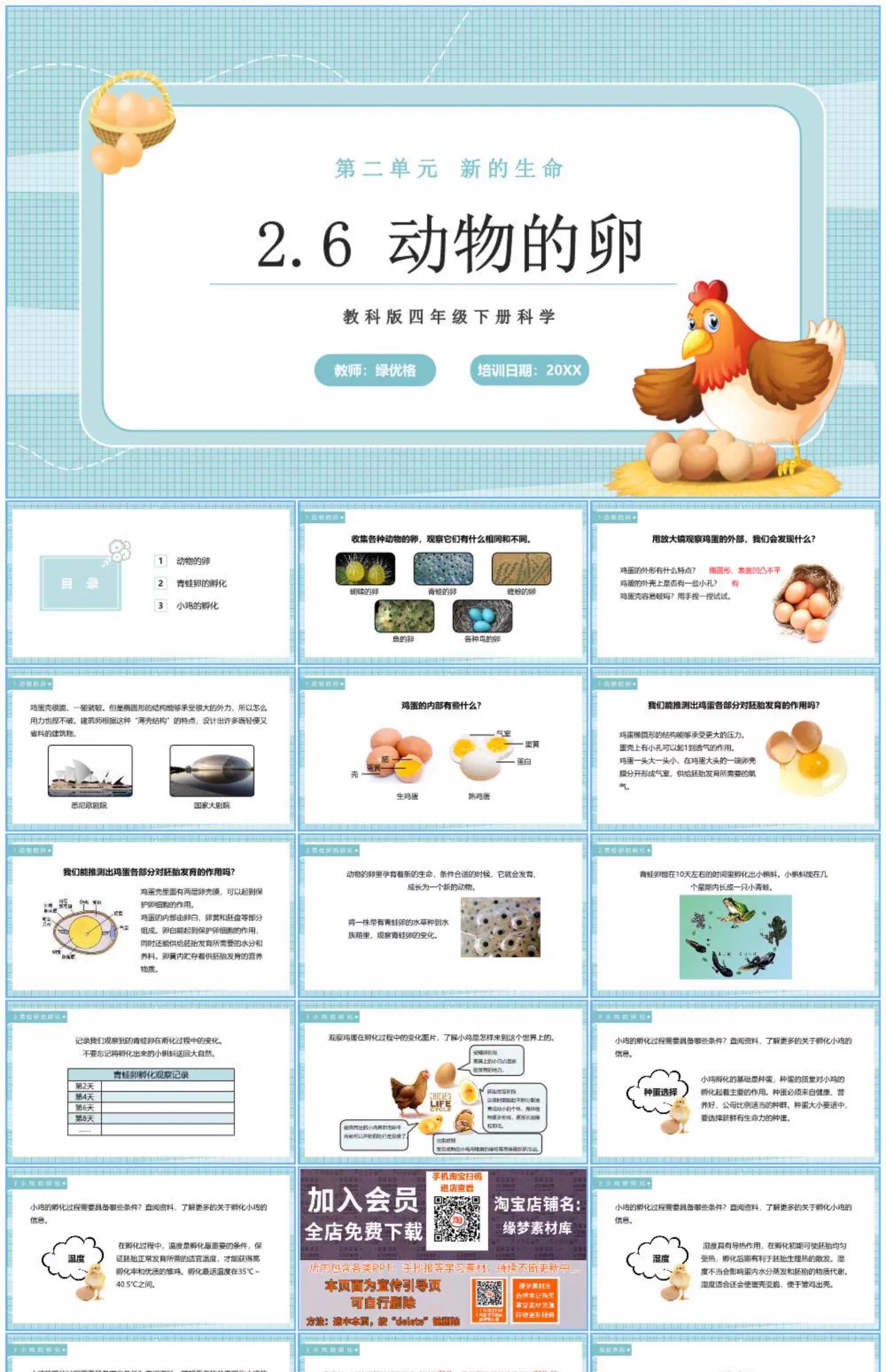 图片[20]-学生科普知识PPT模板课件自然宇宙科学动物生物环保气象介绍素材-大怪兽分享