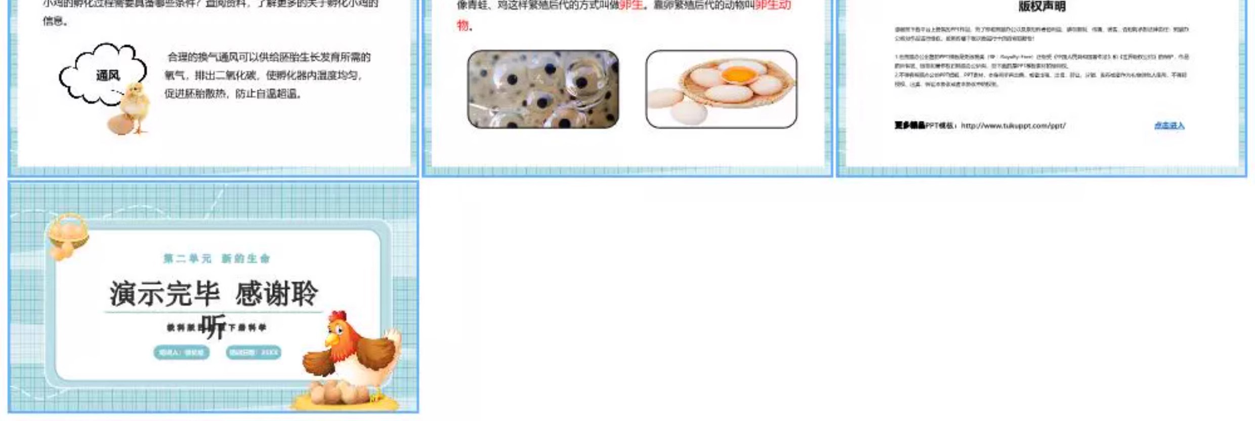 图片[21]-学生科普知识PPT模板课件自然宇宙科学动物生物环保气象介绍素材-大怪兽分享