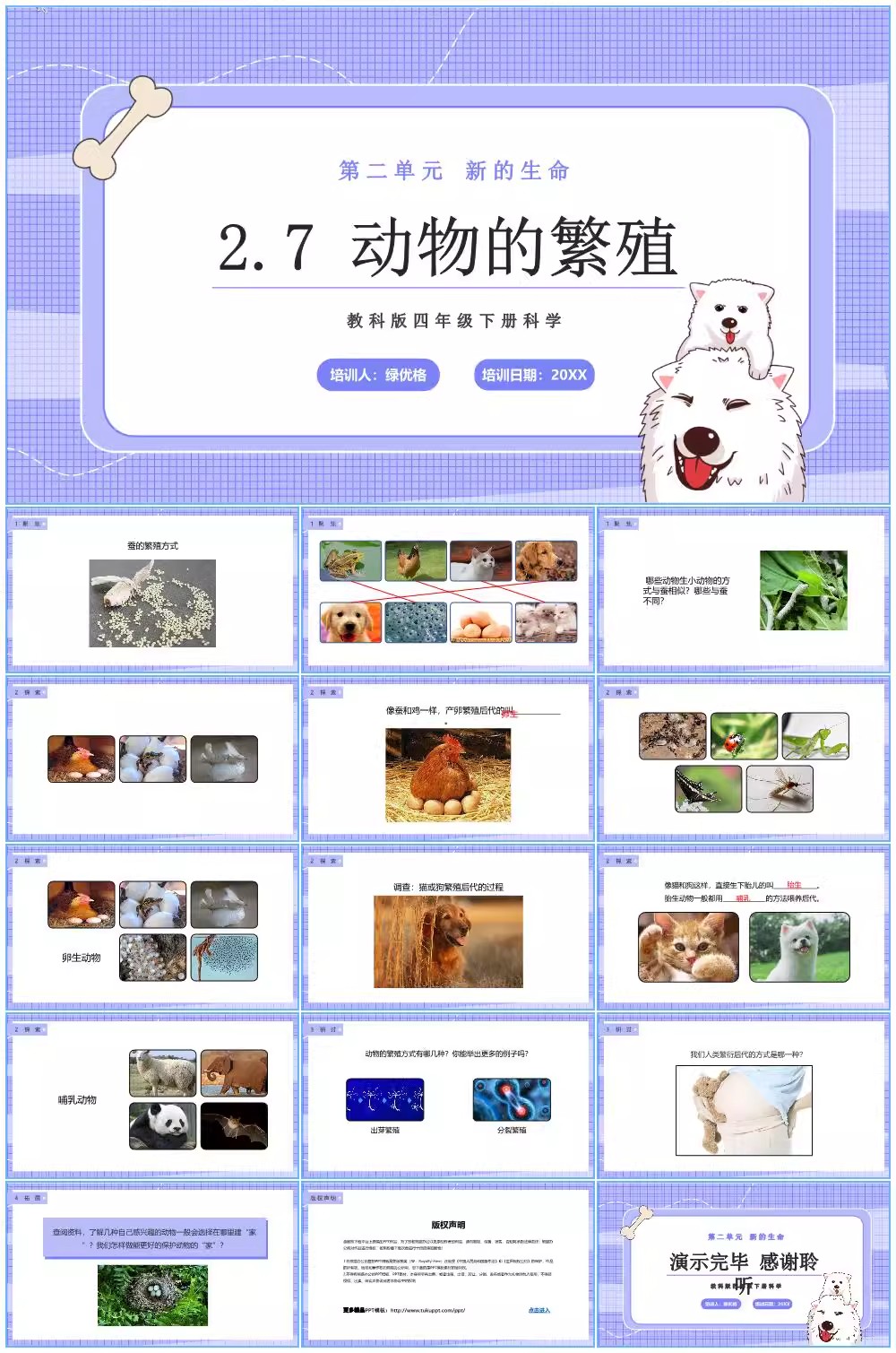 图片[22]-学生科普知识PPT模板课件自然宇宙科学动物生物环保气象介绍素材-大怪兽分享