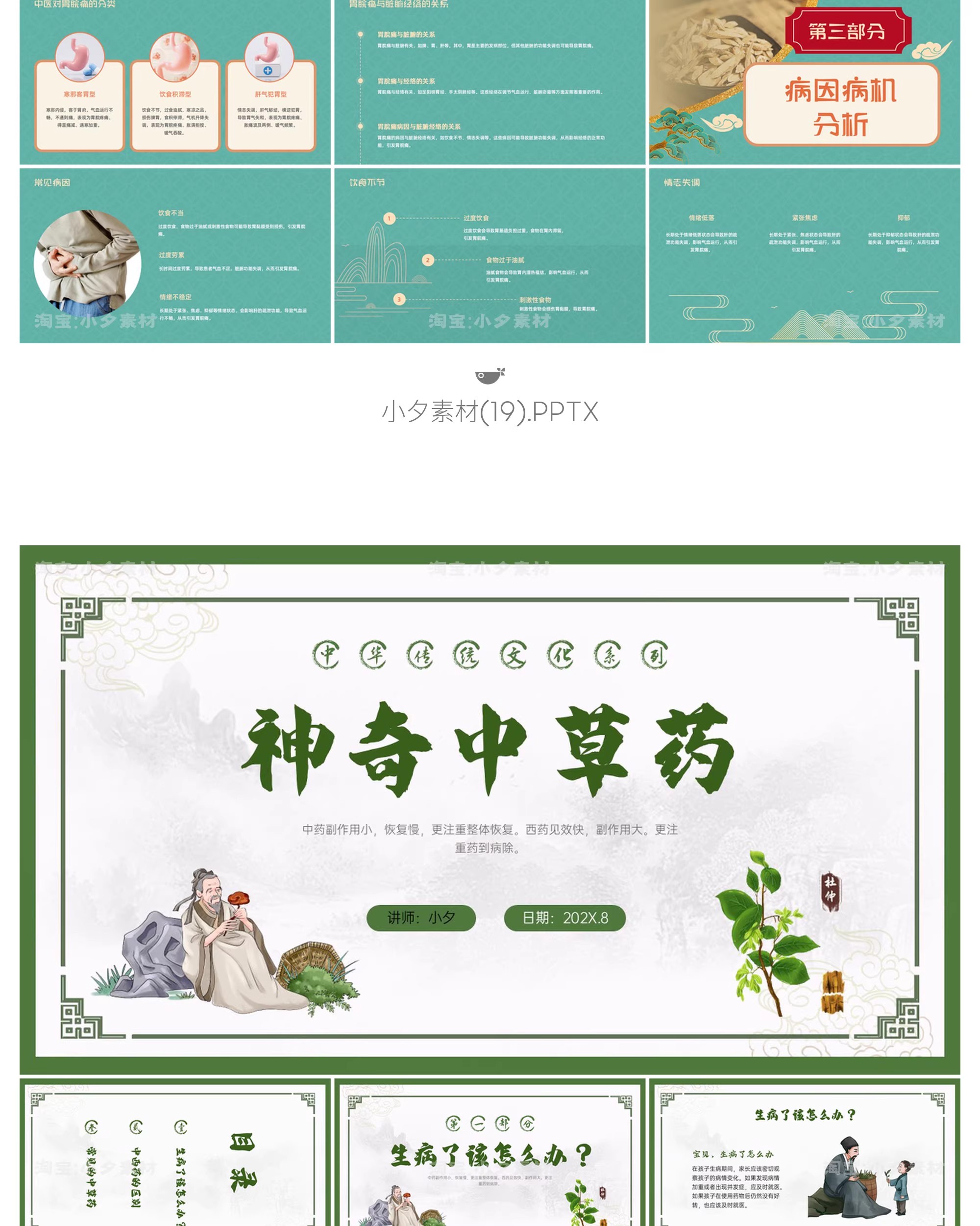 图片[23]-中国传统文化中医药草药养生培训知识文化宣传讲座说课件PPT模板-大怪兽分享