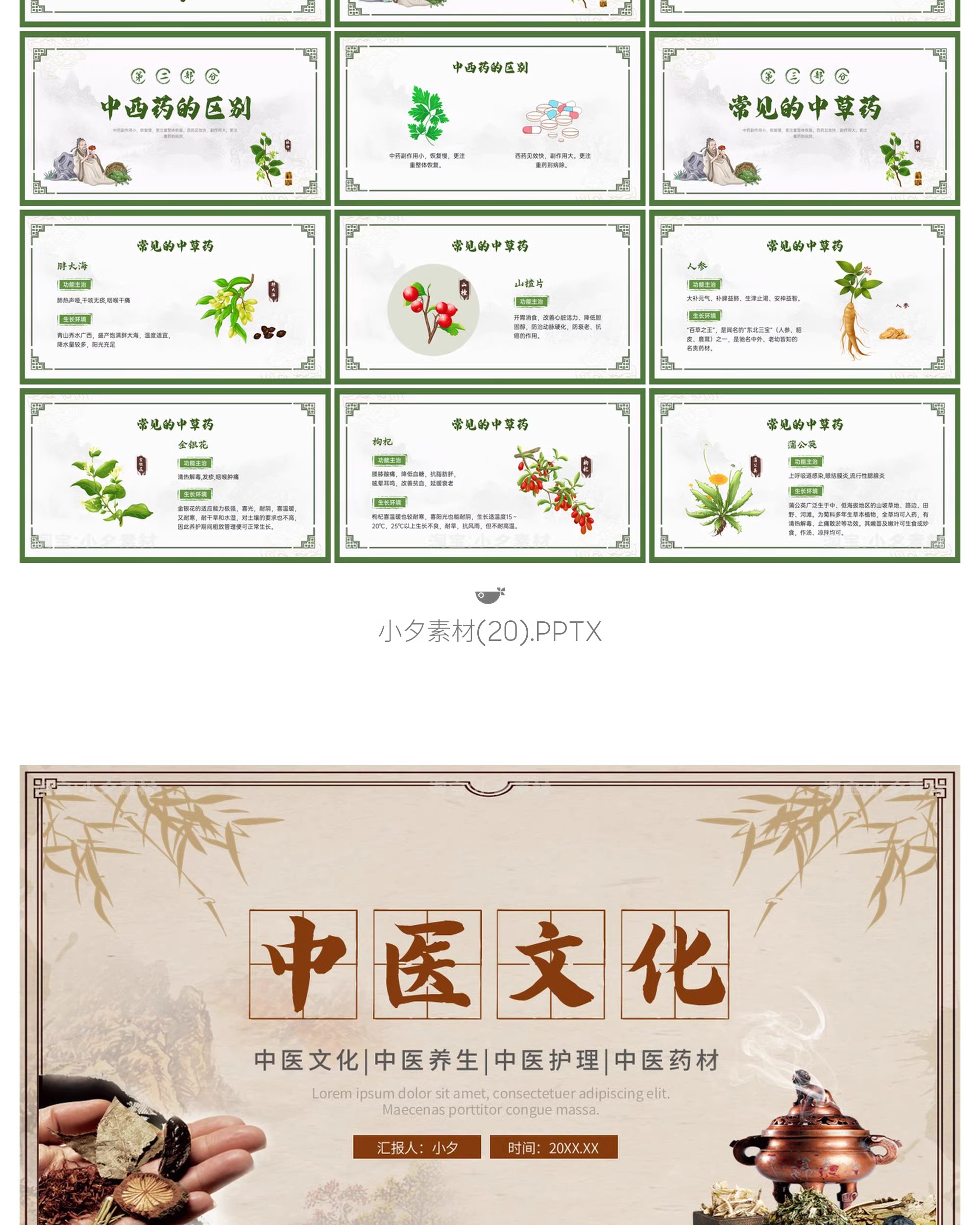图片[24]-中国传统文化中医药草药养生培训知识文化宣传讲座说课件PPT模板-大怪兽分享