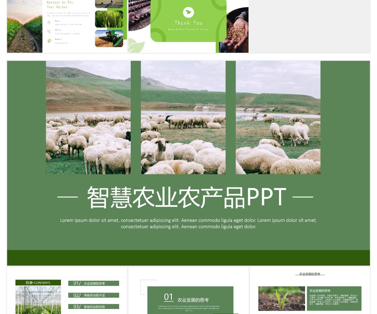 图片[24]-农业ppt模板绿色食品产品推介宣传介绍推广营销策划项目汇报课件-大怪兽分享