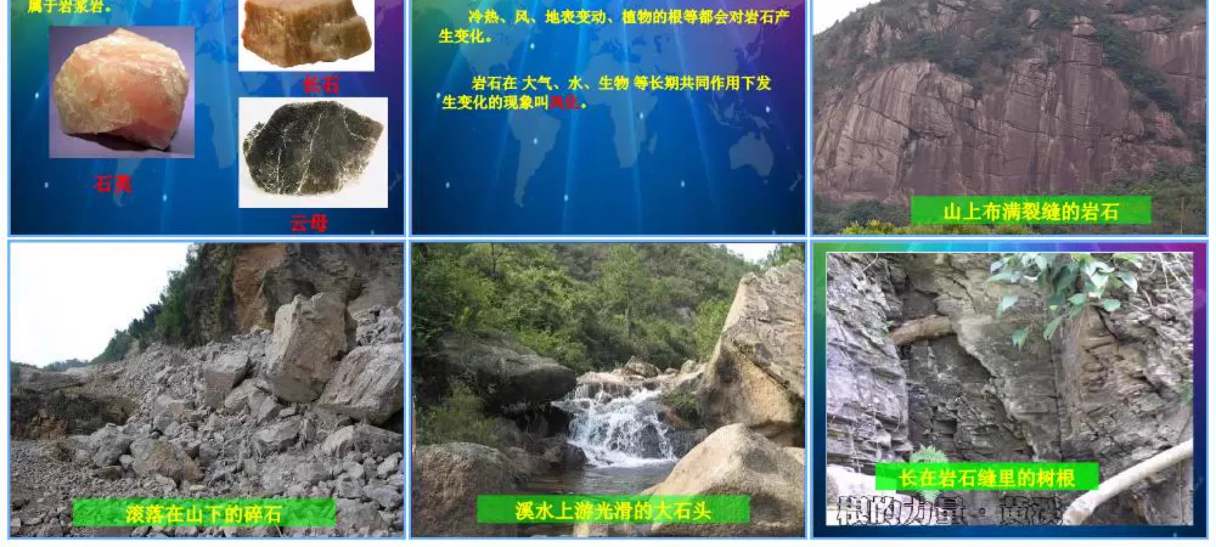 图片[28]-学生科普知识PPT模板课件自然宇宙科学动物生物环保气象介绍素材-大怪兽分享