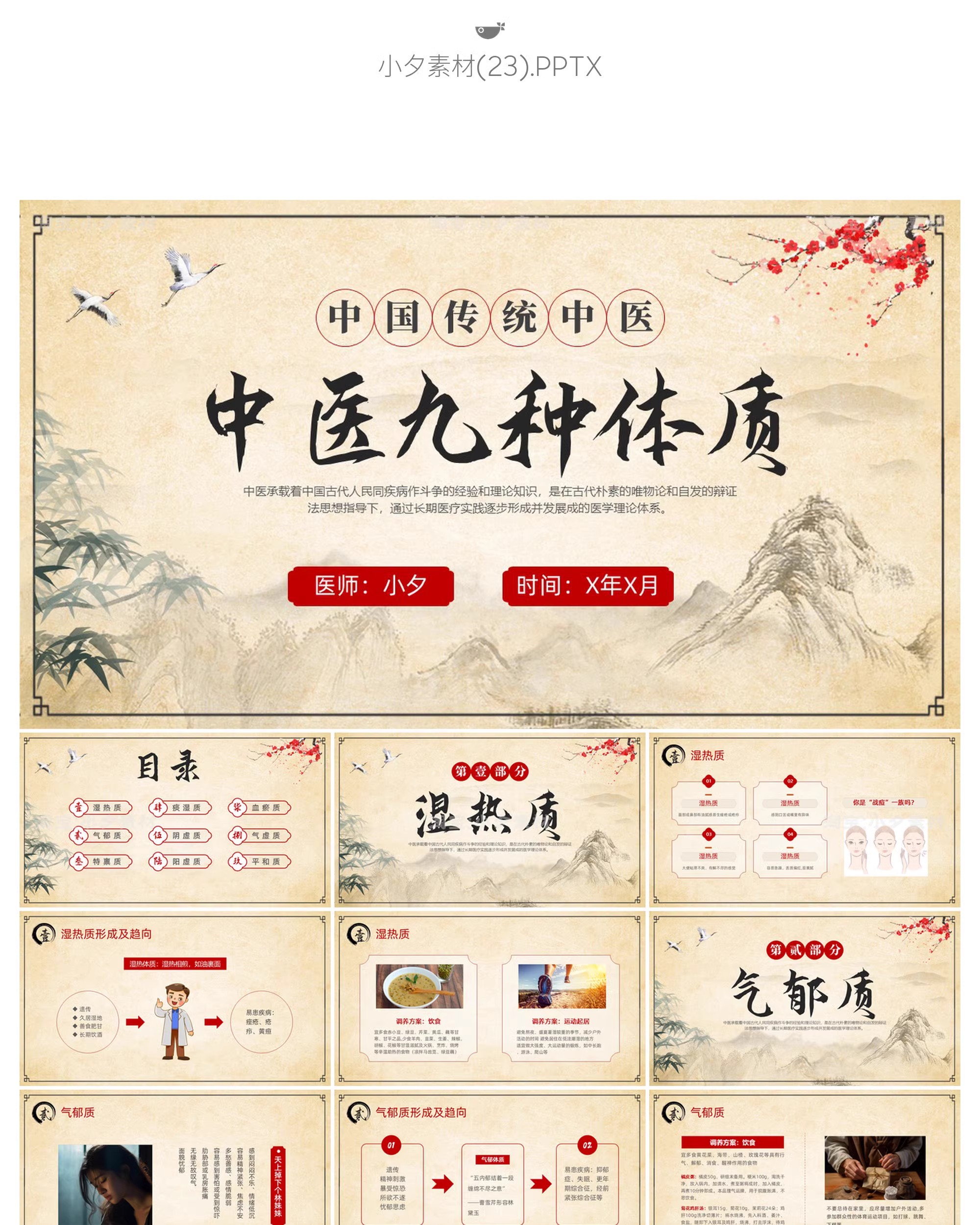 图片[28]-中国传统文化中医药草药养生培训知识文化宣传讲座说课件PPT模板-大怪兽分享