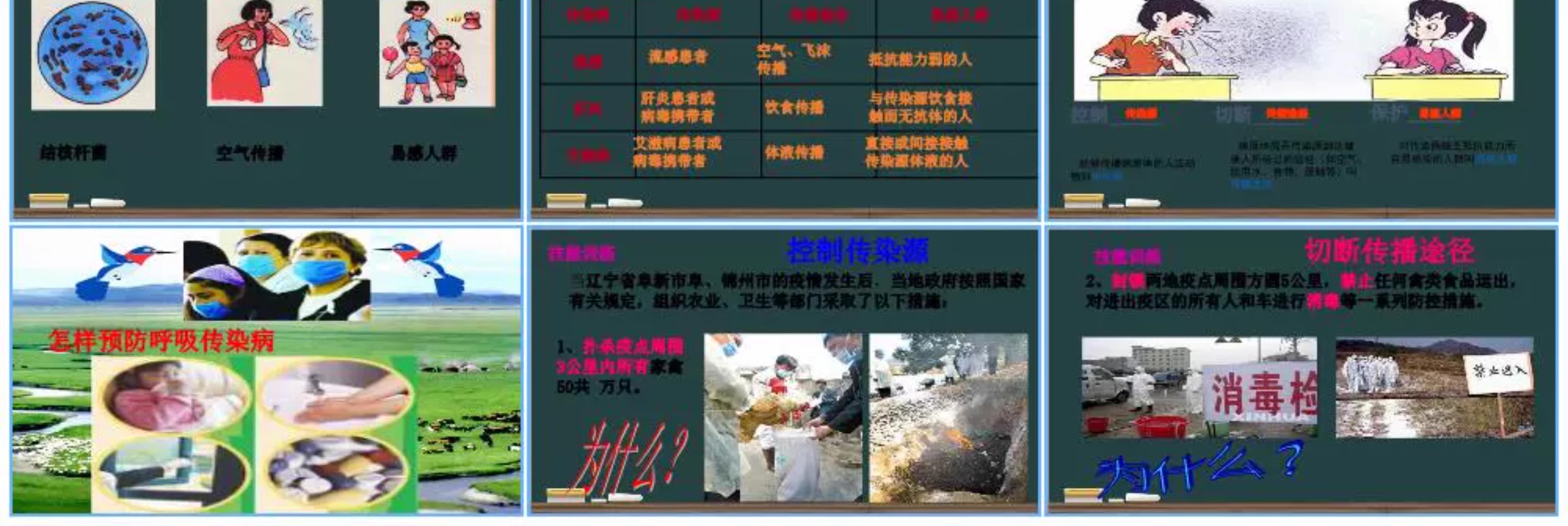 图片[30]-学生科普知识PPT模板课件自然宇宙科学动物生物环保气象介绍素材-大怪兽分享