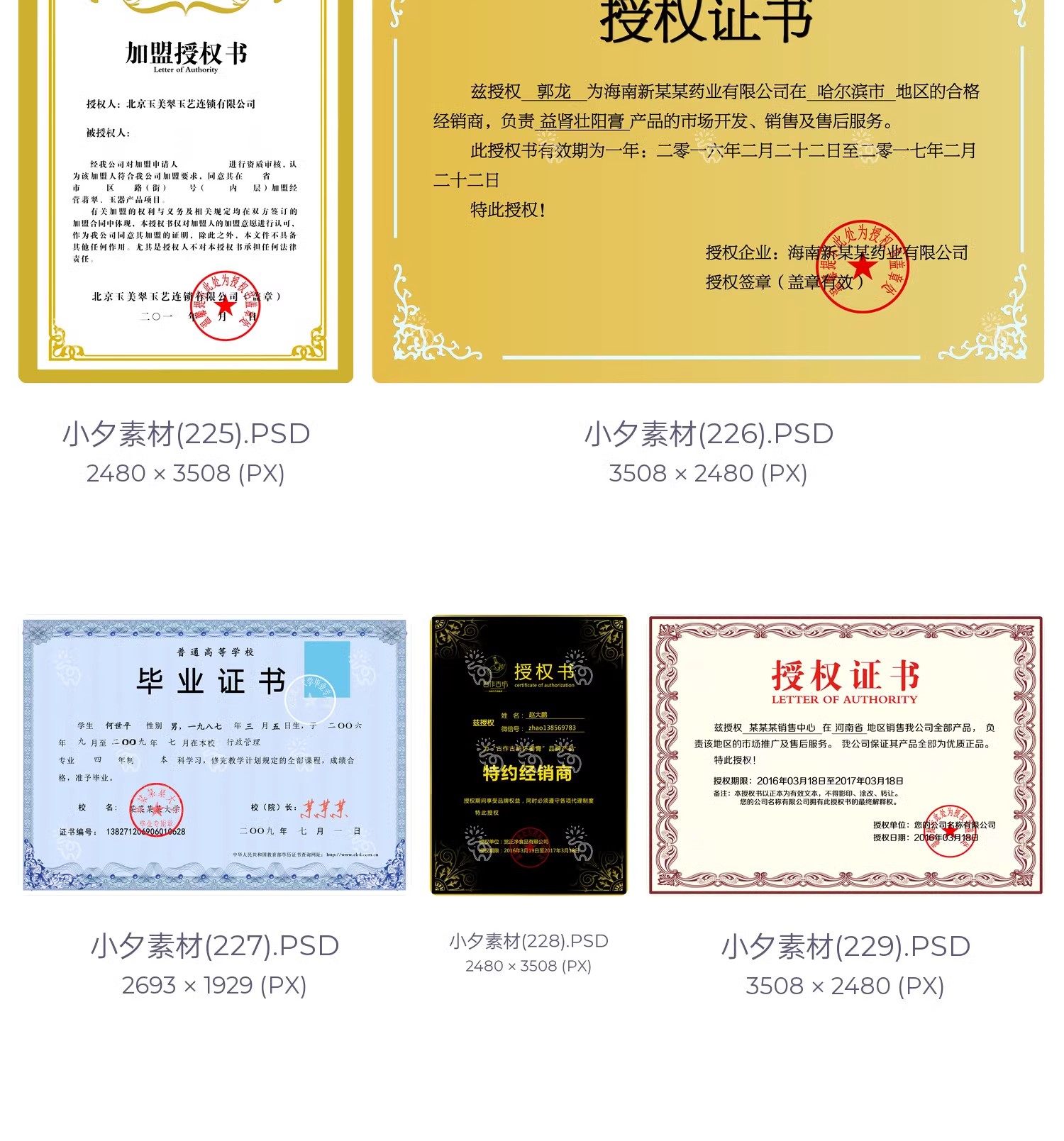 图片[31]-公司企业代理授权资质证书网络电子模板图PSD制作设计源文件素材-大怪兽分享
