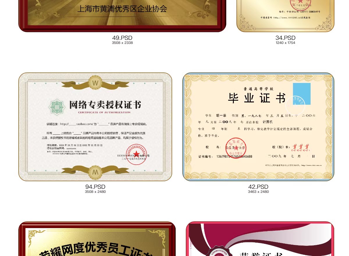 图片[44]-荣誉证书学生奖状授权证书聘书表扬信获奖模板PSD/ai/cdr设计素材-大怪兽分享