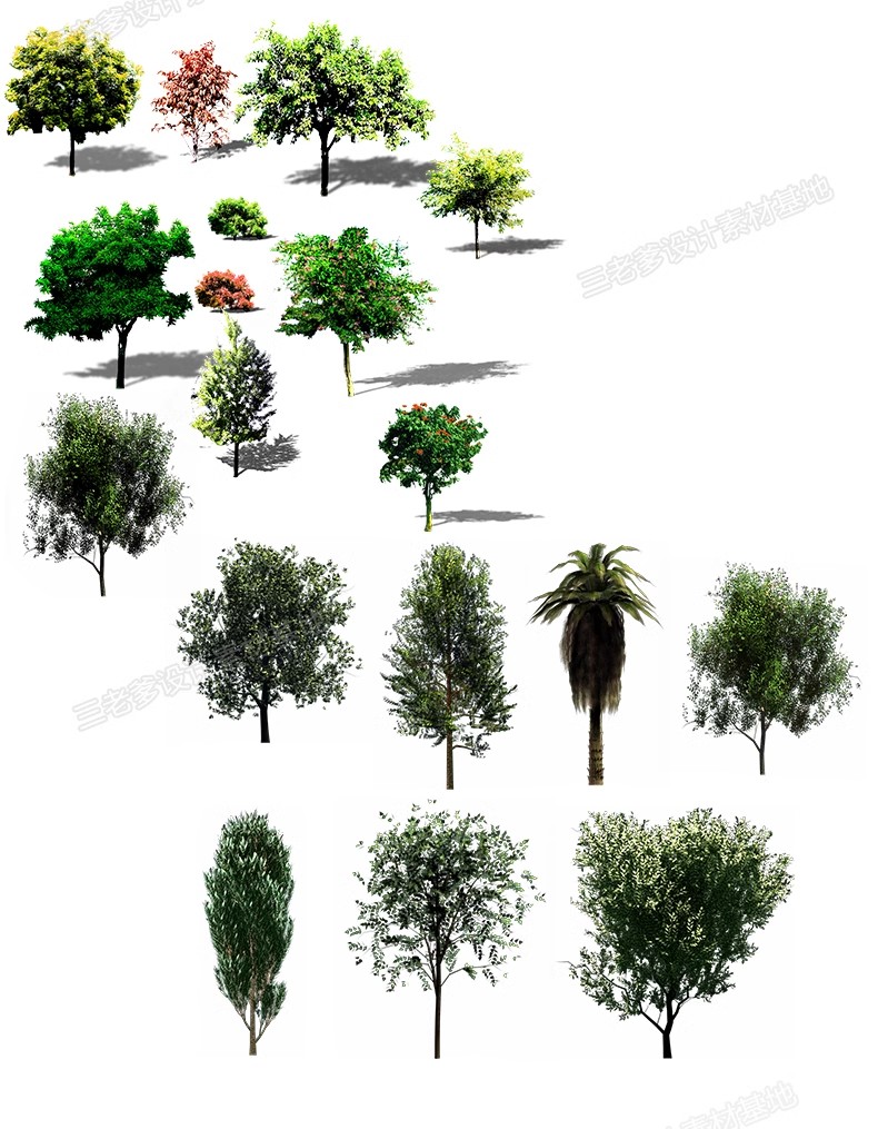 鸟瞰植物PSD分层素材合集景观园林建筑设计后期效果图树木ps花草-大怪兽分享