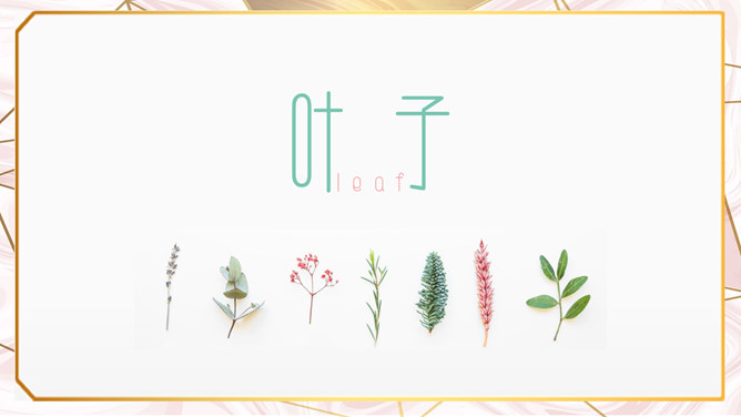 创意淡雅清新叶子PPT模板-大怪兽分享