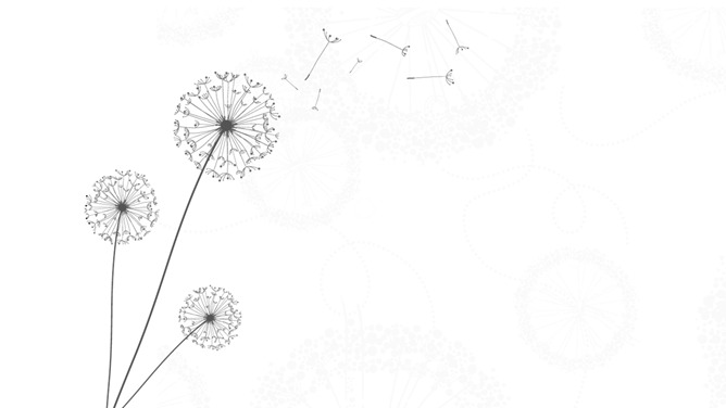 唯美蒲公英PPT背景图片-大怪兽分享