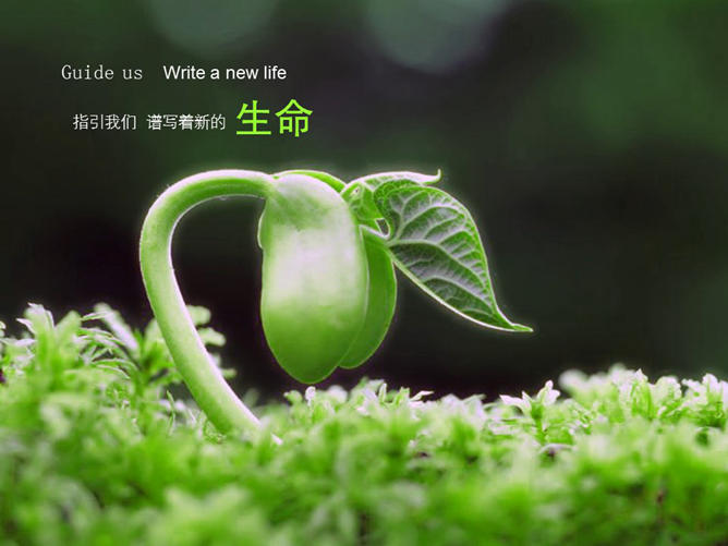 美丽绿色大自然PPT背景图片-大怪兽分享