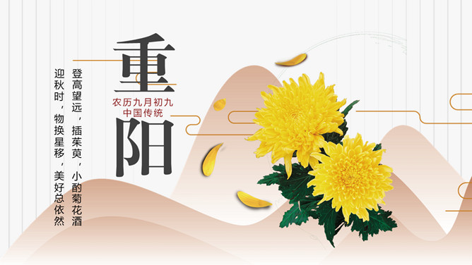 菊花重阳节介绍PPT模板-大怪兽分享