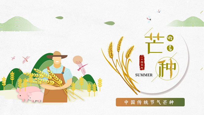 农民麦穗芒种节气PPT模板-大怪兽分享