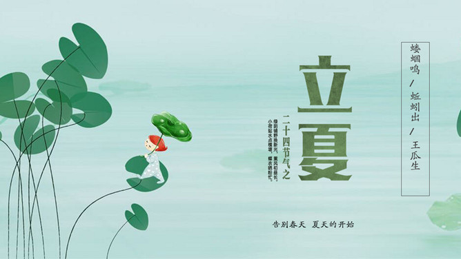 荷叶立夏节气主题PPT模板-大怪兽分享