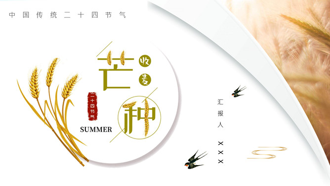 麦穗芒种节气介绍PPT模板-大怪兽分享