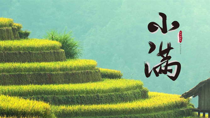 梯田小满节气主题PPT模板-大怪兽分享