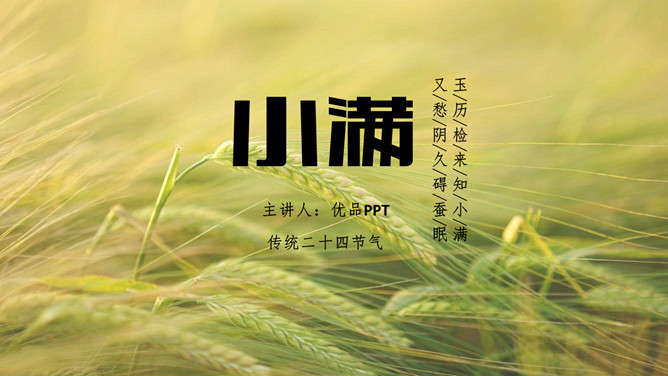 麦田小满节气介绍PPT模板-大怪兽分享