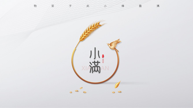 麦穗小满节气介绍PPT模板-大怪兽分享