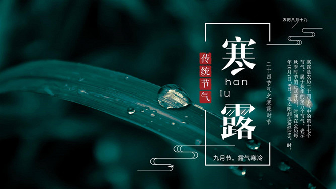 叶子露珠寒露节气PPT模板-大怪兽分享