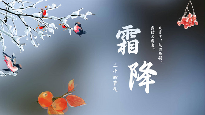 树枝小鸟霜降节气PPT模板-大怪兽分享