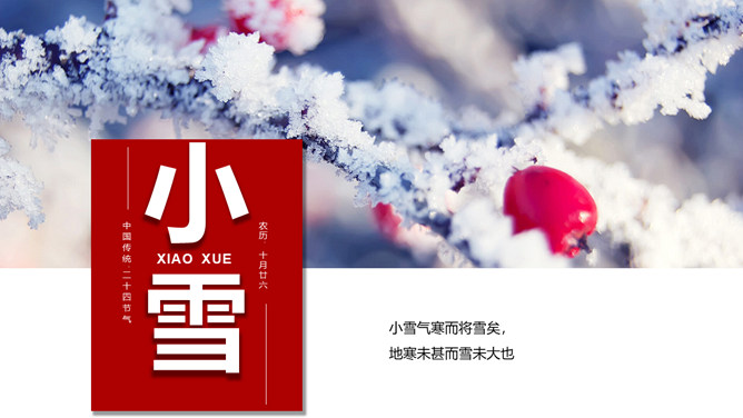 冰雪树枝小雪节气PPT模板-大怪兽分享
