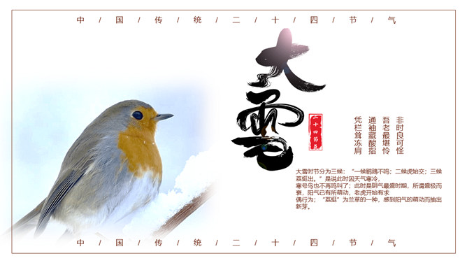小鸟大雪节气主题PPT模板-大怪兽分享