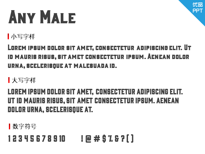 Any Male字体-大怪兽分享