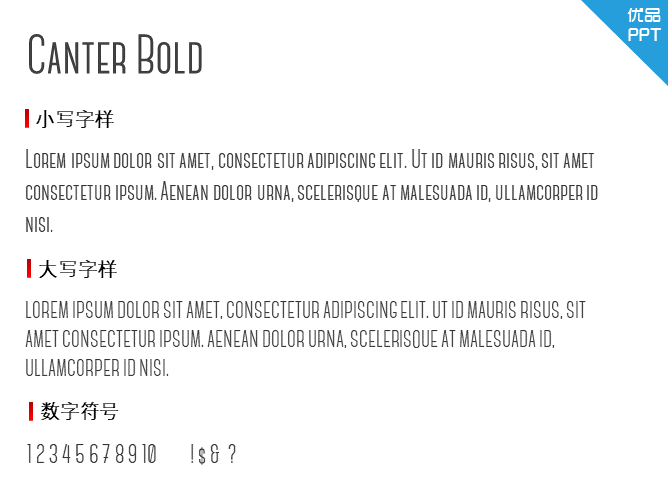 Canter Bold字体-大怪兽分享