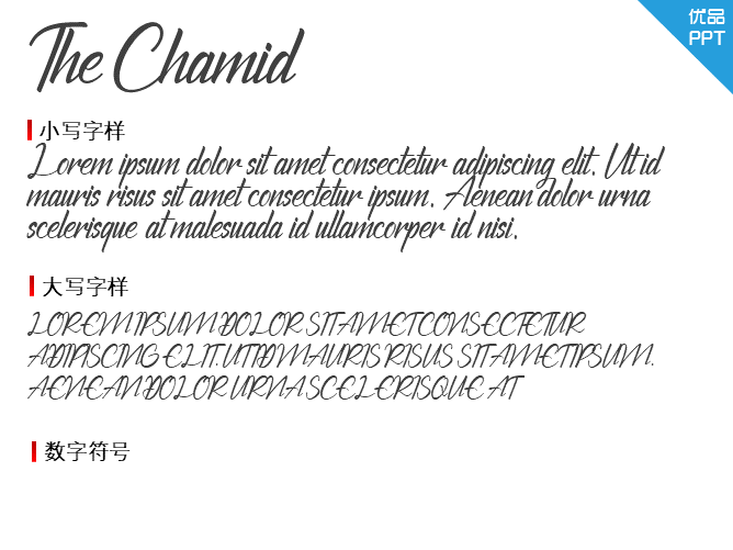 The Chamid Personal Use Only字体-大怪兽分享