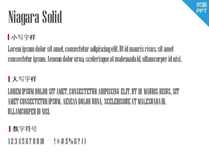 Niagara Solid字体-大怪兽分享