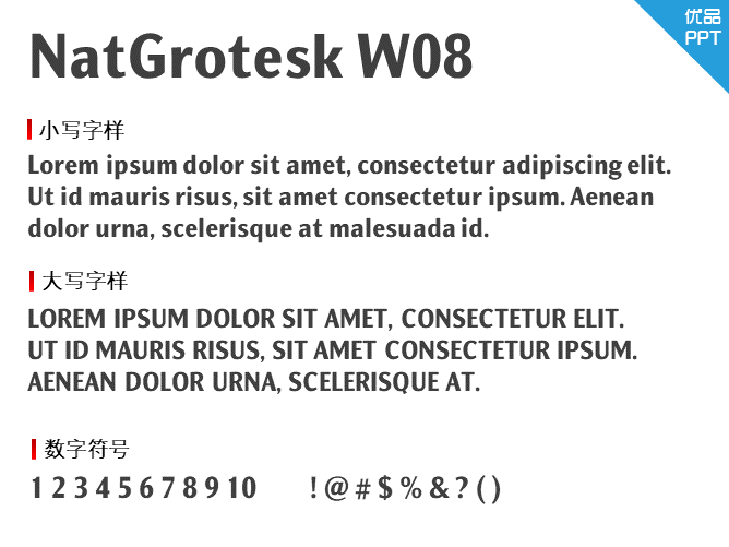 NatGrotesk W08 Black字体-大怪兽分享