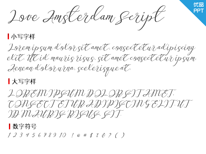 Love Amsterdam Script字体-大怪兽分享