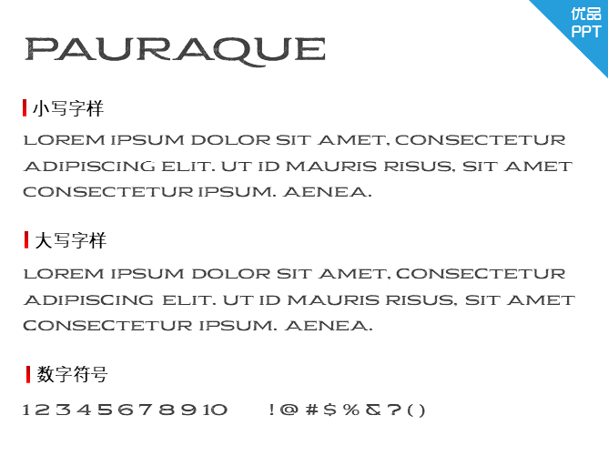 Pauraque_Serif_Rough字体-大怪兽分享