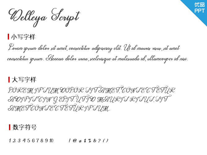 Delleya Script字体-大怪兽分享