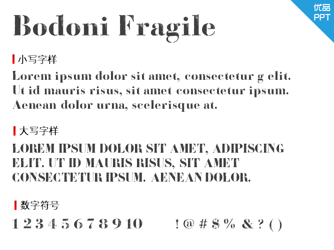 Bodoni Fragile字体-大怪兽分享