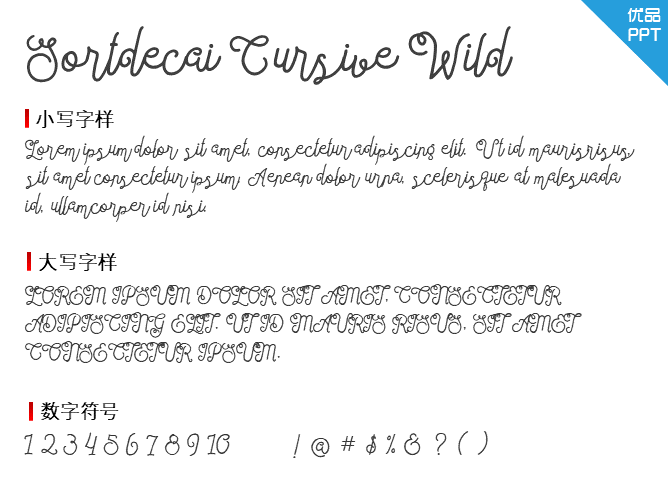 Sortdecai Cursive Wild Script字体-大怪兽分享