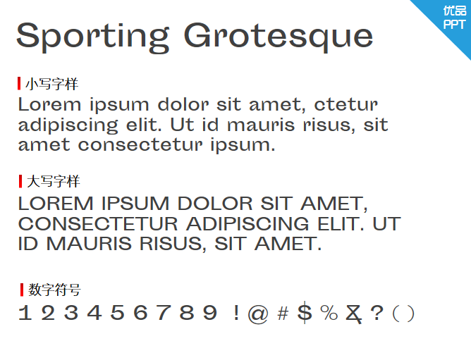 Sporting Grotesque字体-大怪兽分享